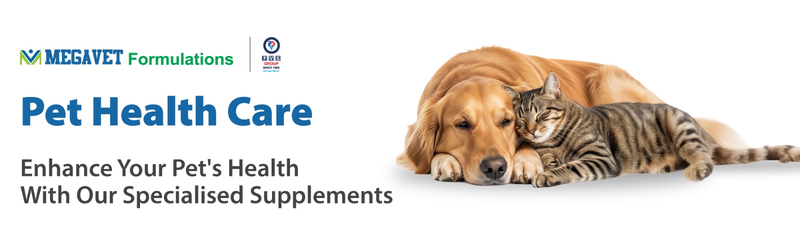 PVS / MEGAVET FORMULATIONS